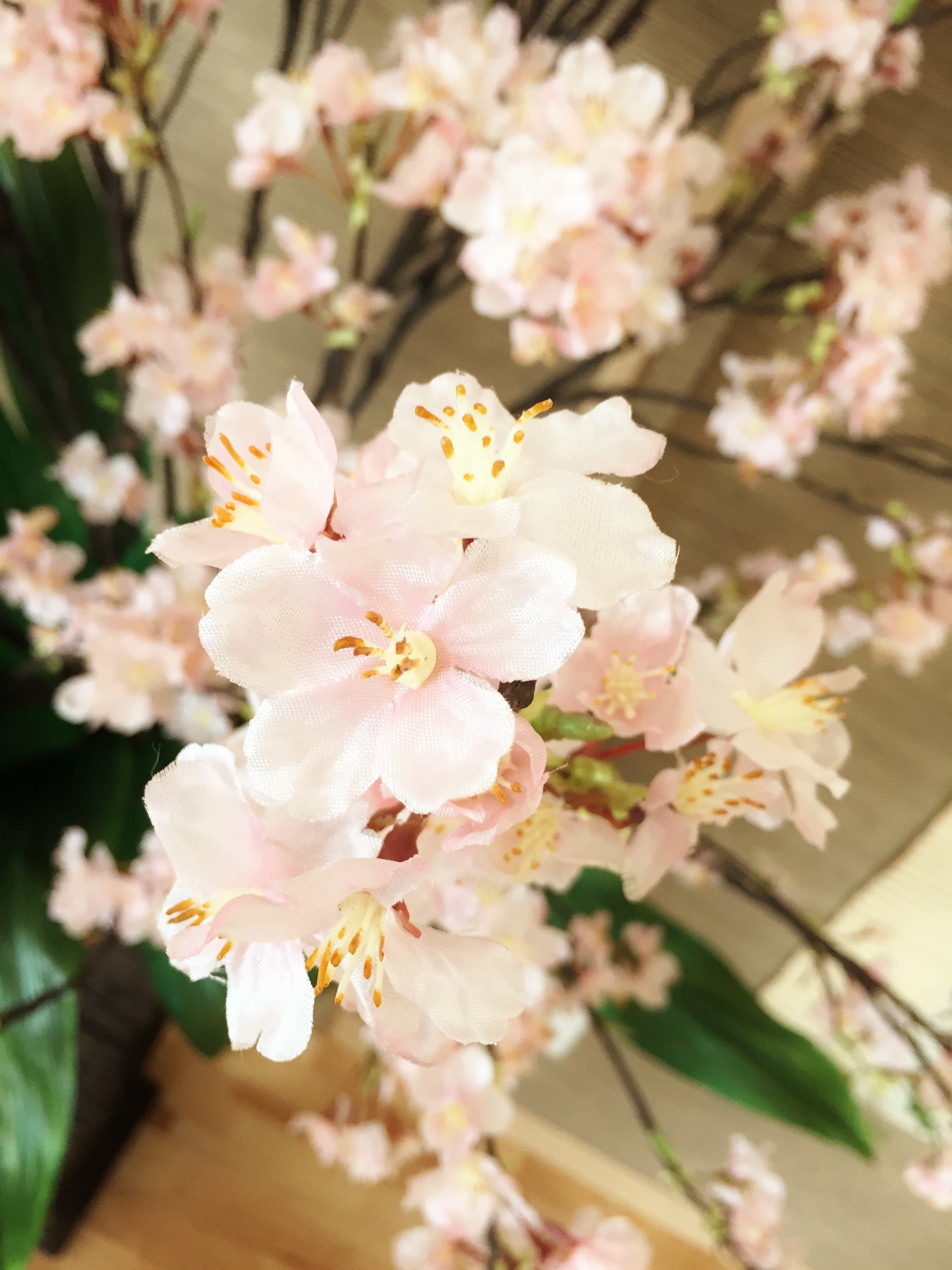 本物そっくりの高品質桜アーティフィシャルフラワー。店舗・企業受付・イベント空間にレンタル。繁忙期・入学式・お花見シーズンなど春の季節演出にぴったり。