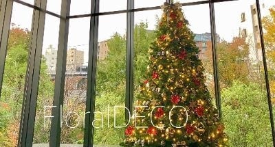 特大クリスマスツリーレンタルの画像